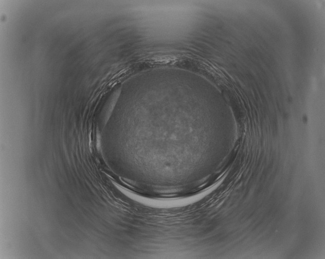 X0000074341394200609011616