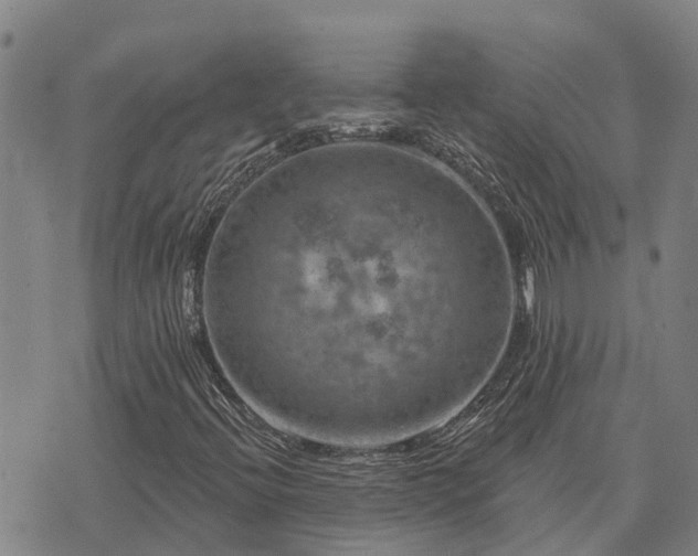 X0000074341396200609011616