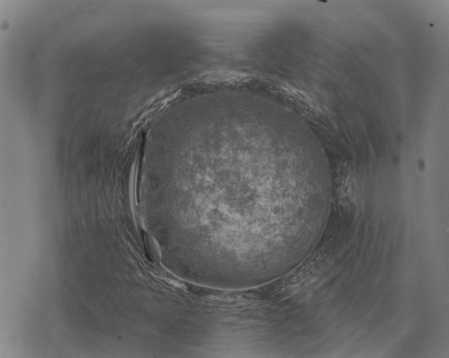 X0000074341397200609011616