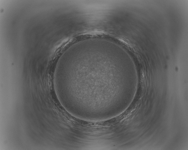 X0000074341398200609011616