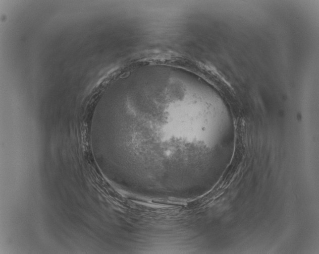 X0000074341399200609011616