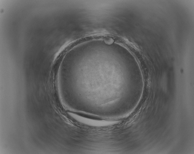 X0000074341400200609011616