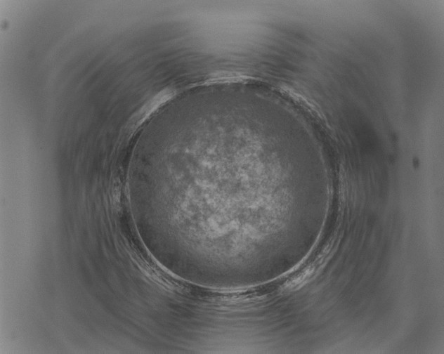 X0000074341401200609011616