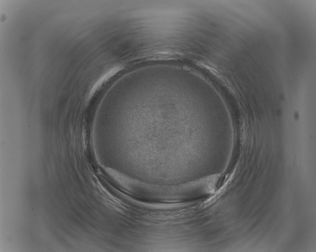 X0000074341402200609011616