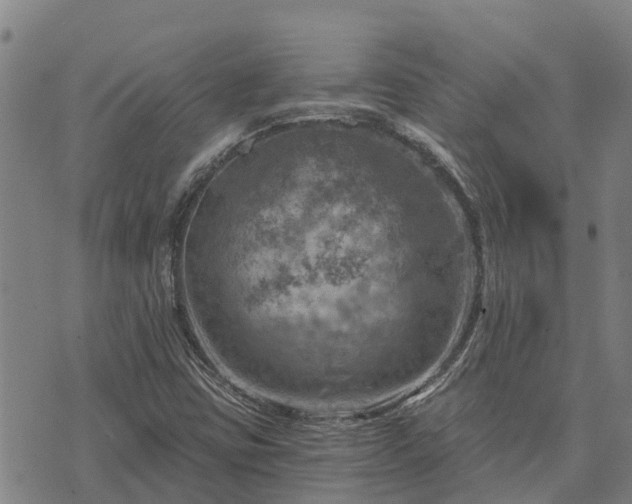 X0000074341403200609011616