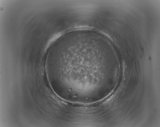 X0000074341405200609011616