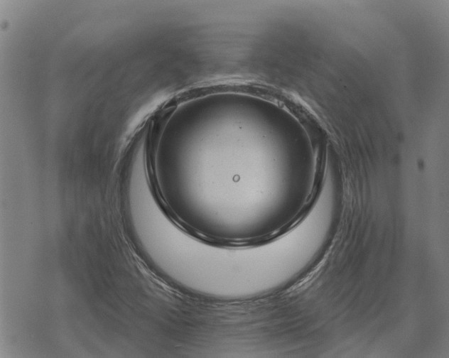 X0000074341406200609011616