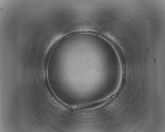 X0000074341408200609011616