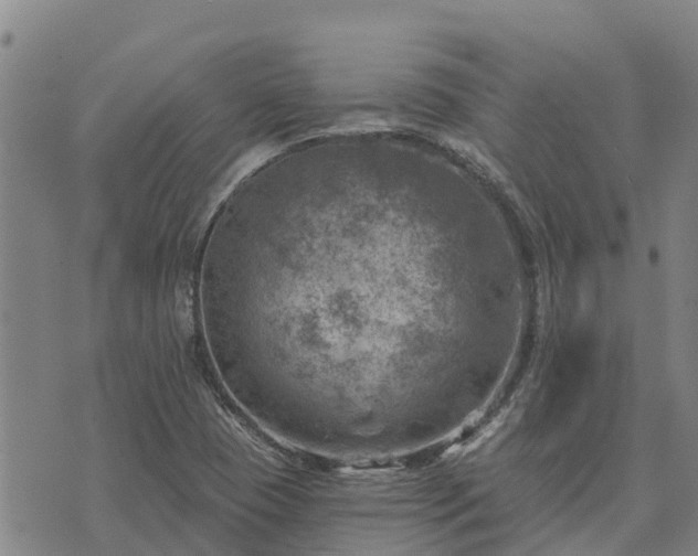 X0000074341409200609011616