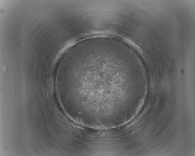 X0000074341411200609011616