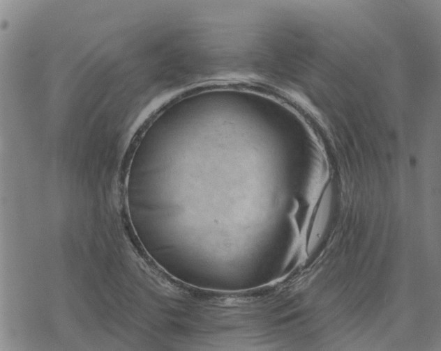 X0000074341412200609011616