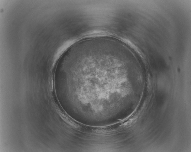 X0000074341413200609011616