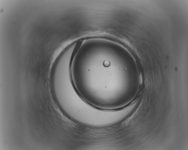 X0000074341414200609011616