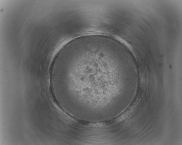 X0000074341415200609011616