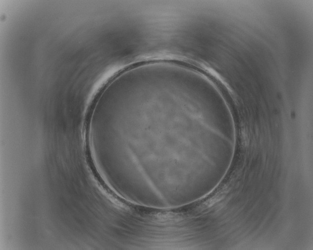 X0000074341416200609011616