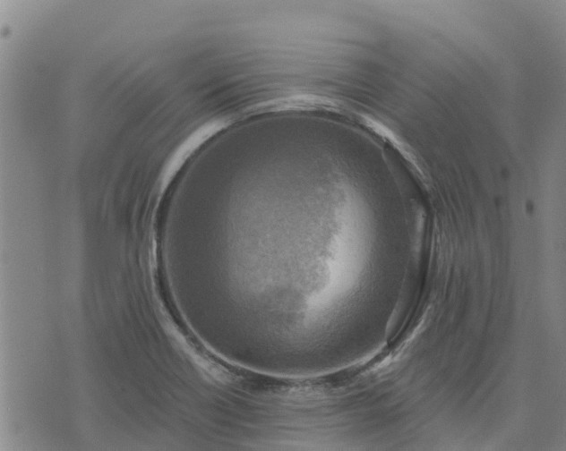 X0000074341418200609011616