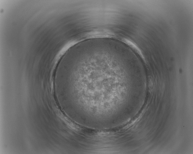 X0000074341419200609011616