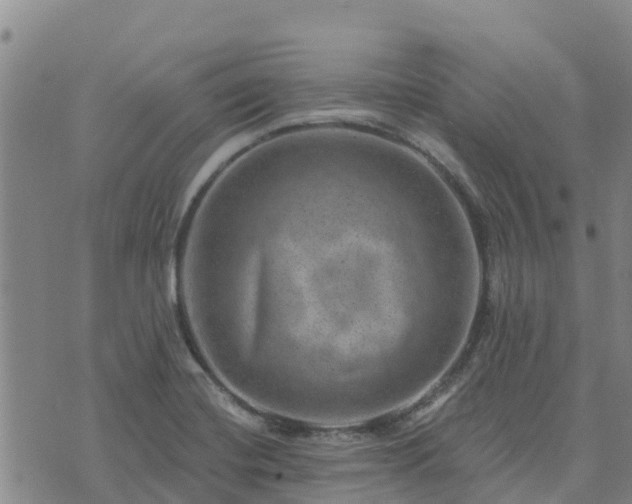 X0000074341420200609011616