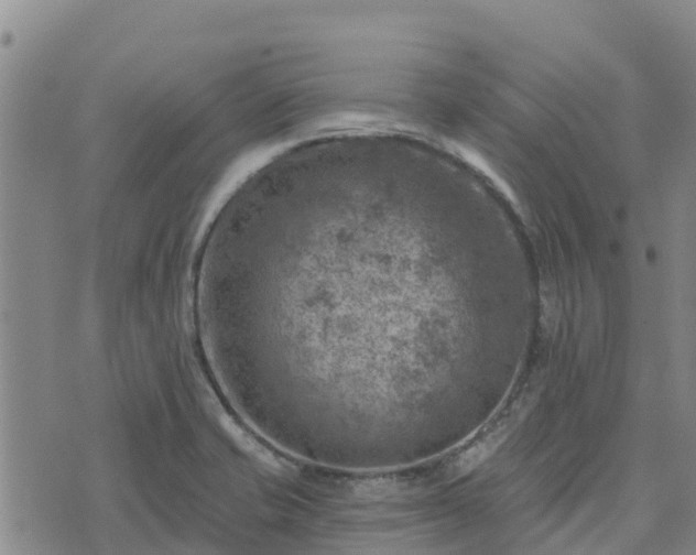 X0000074341421200609011616