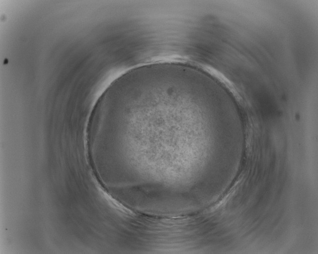 X0000074341423200609011616