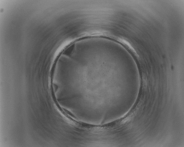 X0000074341424200609011616