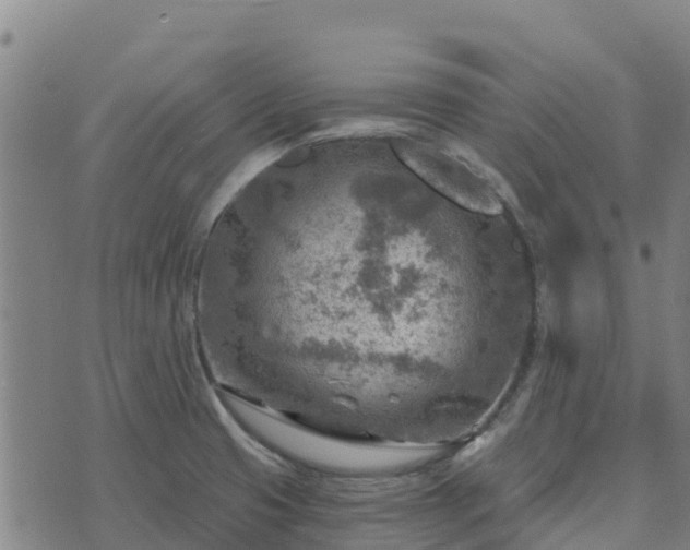 X0000074341425200609011616