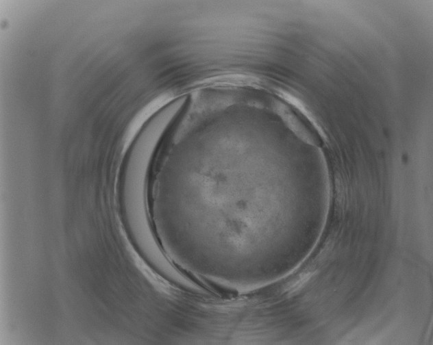 X0000074341426200609011616