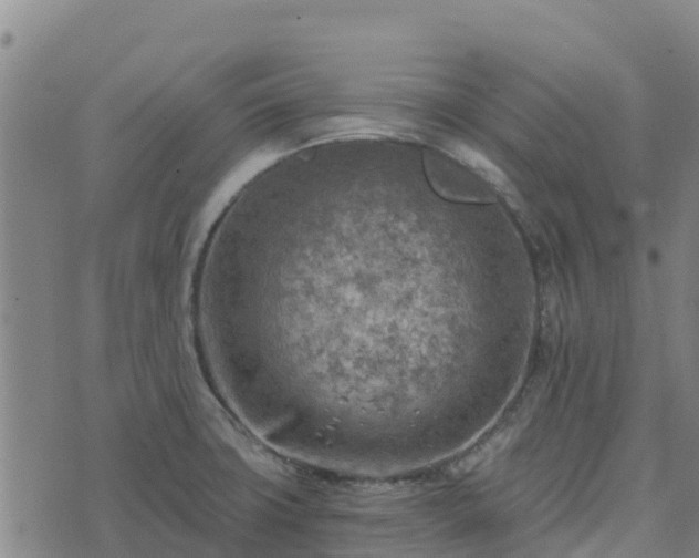 X0000074341427200609011617