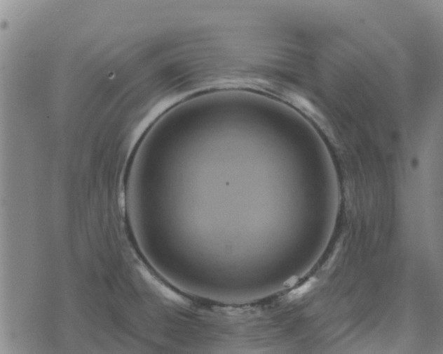 X0000074341428200609011617