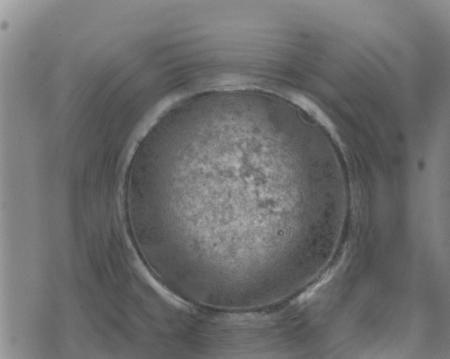 X0000074341429200609011617