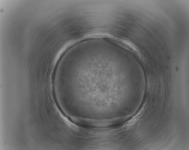 X0000074341430200609011617