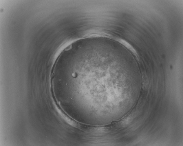 X0000074341431200609011617