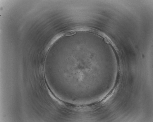 X0000074341433200609011617