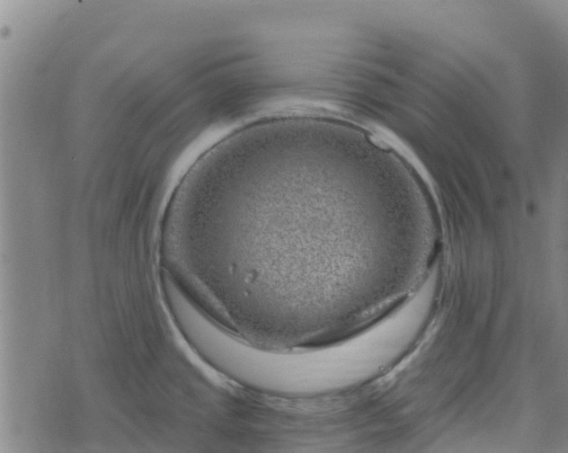 X0000074341437200609011617