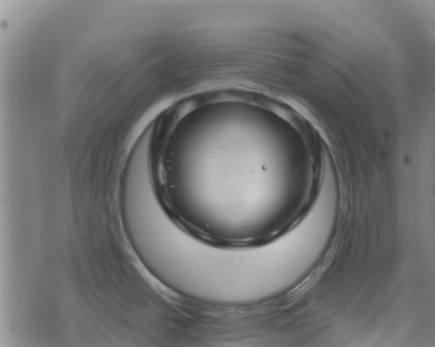 X0000074341438200609011617