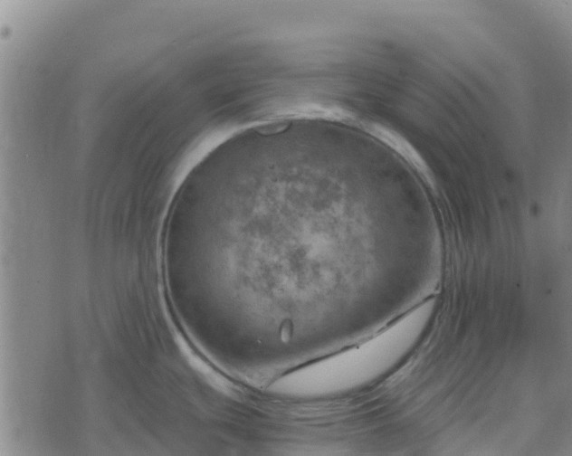 X0000074341439200609011617