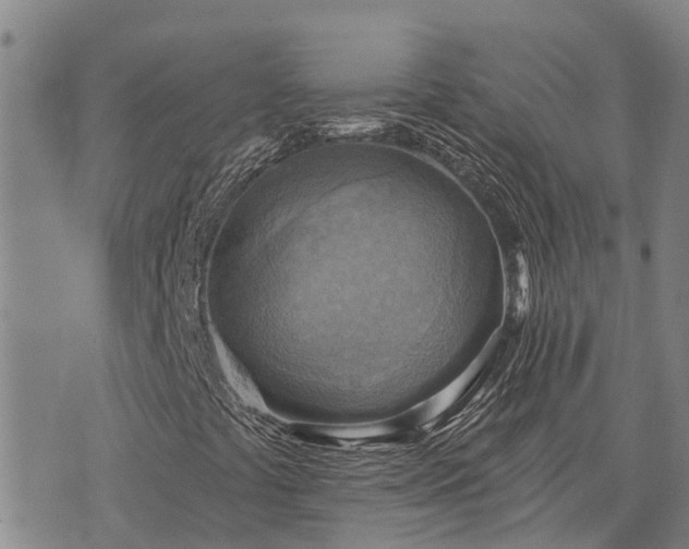 X0000074341441200609011616