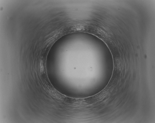 X0000074341442200609011616