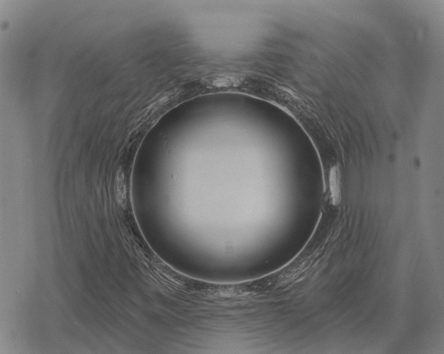 X0000074341443200609011616