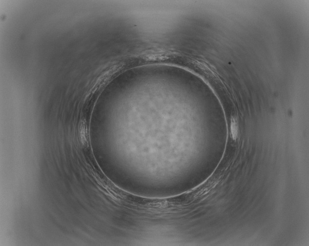 X0000074341444200609011616