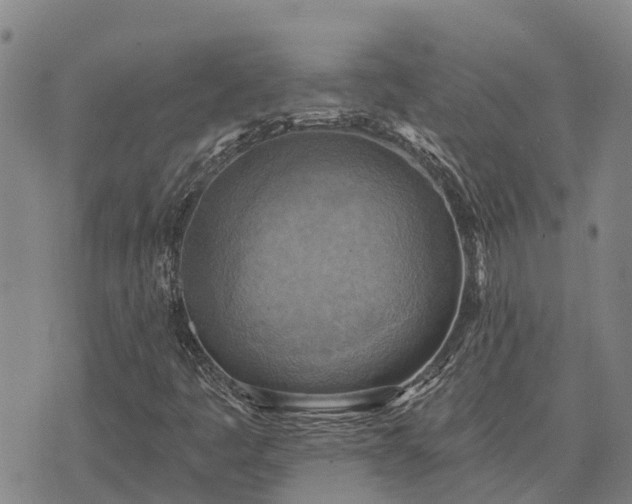 X0000074341445200609011616