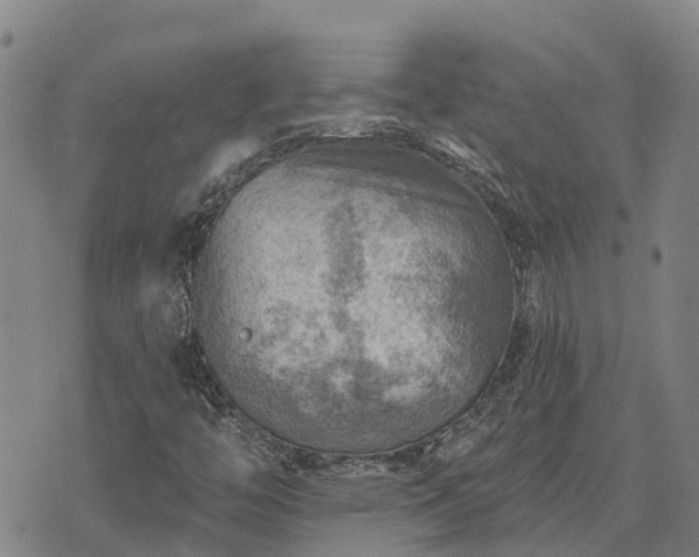 X0000074341446200609011616