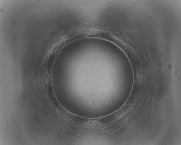 X0000074341447200609011616