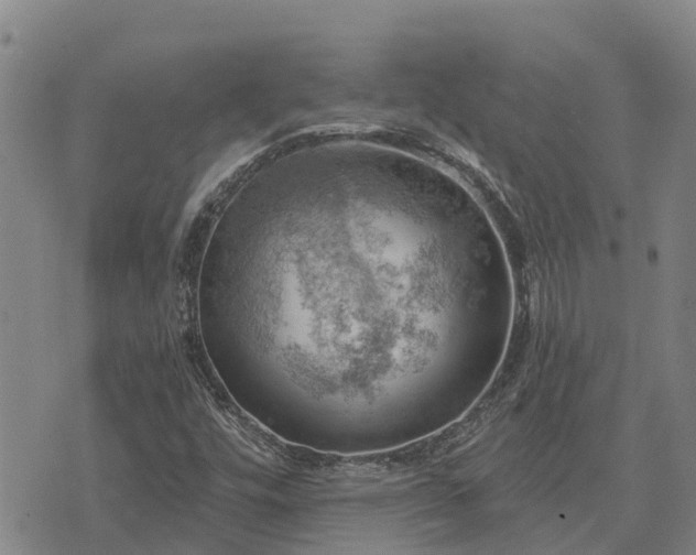 X0000074341448200609011616