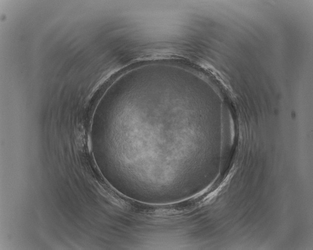 X0000074341449200609011616