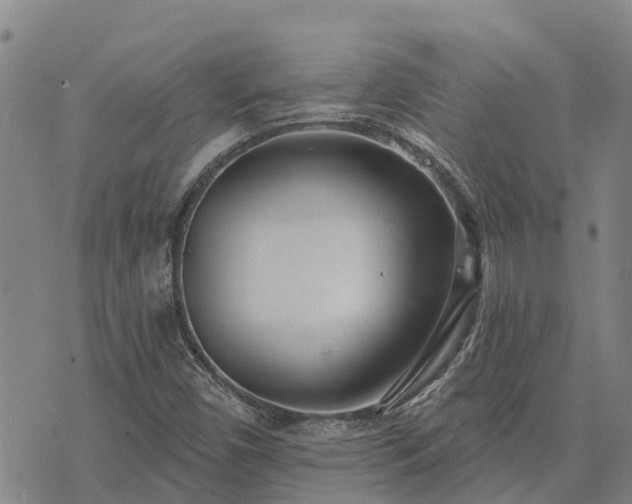 X0000074341450200609011616