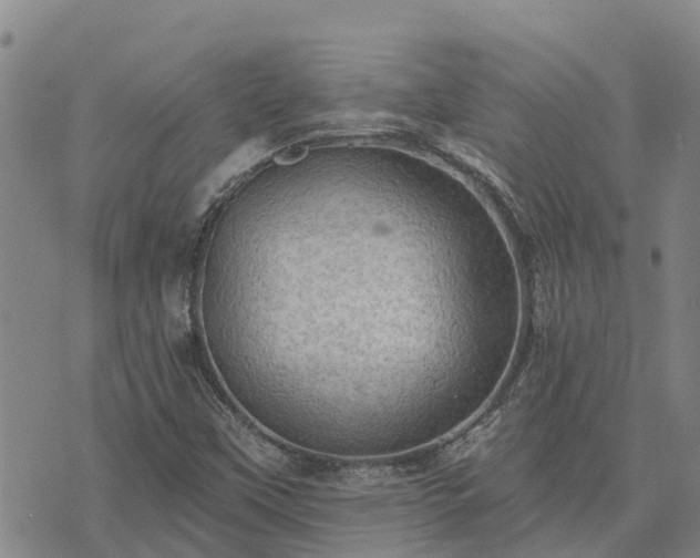 X0000074341451200609011616