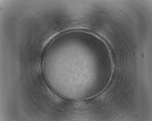 X0000074341452200609011616