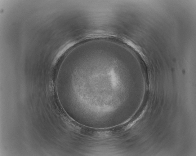 X0000074341453200609011616