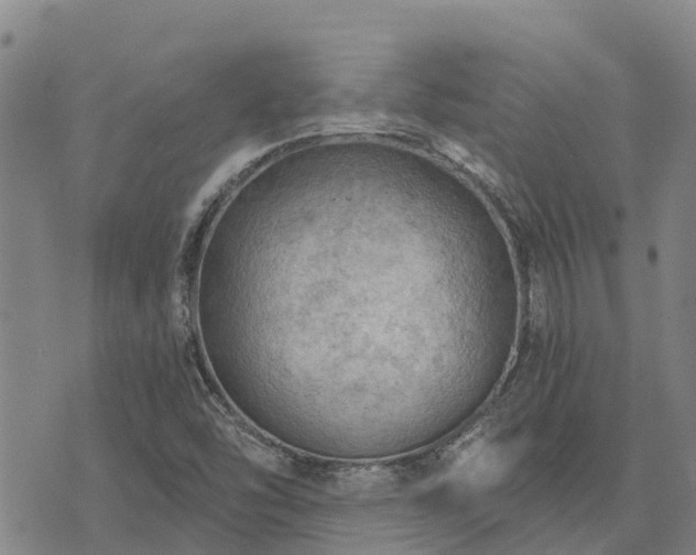 X0000074341454200609011616